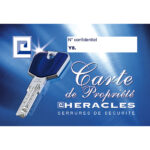 CARTE Y8